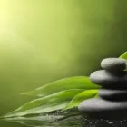 Entreprises 1 image RESTORATIVE COUNSELLING Psychologists dans Nanaimo BC