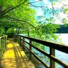 Entreprises 3 image RESTORATIVE COUNSELLING Psychologists dans Nanaimo BC