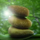 Entreprises 4 image RESTORATIVE COUNSELLING Psychologists dans Nanaimo BC