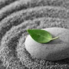 Entreprises 5 image RESTORATIVE COUNSELLING Psychologists dans Nanaimo BC