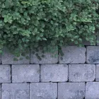 Entreprises 5 image RETAINING WALL CONTRACTOR Mechanical Contractors dans Toronto ON