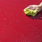 Entreprises 1 image REXDALE AUTO DETAILING INC Car Wash & Detailing dans Etobicoke ON