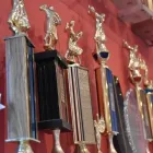 Business 1 image RHYTHM & MOTION DANCE STUDIO Education in Toronto ON