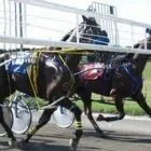 Entreprises 2 image RIDEAU CARLETON RACEWAY Entertainment Centres dans Ottawa ON