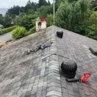 Entreprises 4 image RM MOSS REMOVAL Window Cleaners dans Victoria BC