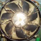 Entreprises 1 image ROC-KEY'S LOCKSMITH Locksmiths dans Vernon BC