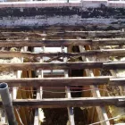 Business 8 image ROOFWORKS LTD Roofing Contractors in Toronto ON