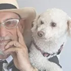 Business 5 image ROTFLEISCH & SAMULOVITCH P.C. - TORONTO TAX LAWYERS Financial & Tax Lawyers in Toronto ON