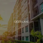 Business 1 image ROYAL LEPAGE PROPERTY CONSULTANTS Real Estate Agents in St. John’s NL