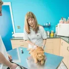 Entreprises 2 image ROYAL OAK PET CLINIC Veterinarians dans Victoria BC