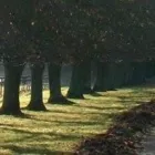 Business 1 image ROYAL OAK PHYSIOTHERAPY Physiotherapists in Victoria BC