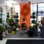 Business 2 image RUSSELL'S FLOWER SHOP Shopping in Hamilton ON