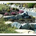 Business 13 image SAANICH LANDSCAPING LTD Real Estate & Home Improvement in Victoria BC