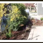 Business 23 image SAANICH LANDSCAPING LTD Real Estate & Home Improvement in Victoria BC