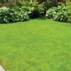 Business 38 image SAANICH LANDSCAPING LTD Real Estate & Home Improvement in Victoria BC