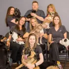 Entreprises 3 image SAANICHTON VILLAGE VETERINARY HOSPITAL Veterinarians dans Saanichton BC