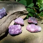 Entreprises 6 image SACRA FLORA Clairvoyants & Psychics dans York ON