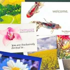 Business 10 image SAMCO PRINTERS LTD Copying & Duplicating Service in Vancouver BC