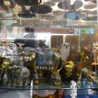 Business 15 image SARAH'S GIFTS & GAMES Toys & Games Shops in Calgary AB