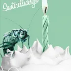 Business 2 image SAUTERELLE DESIGN INC Business & Professional Services in Saint-Léonard QC