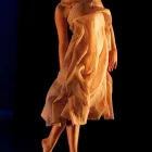 Business 1 image SCHOOL OF CONTEMPORARY DANCERS Education in Winnipeg MB