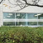 Entreprises 13 image SEARCH GURUS INC Web Design & Development dans Mississauga ON