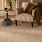 Business 2 image SEARS CARPET & UPHOLSTERY CLEANING Carpet, Curtain & Upholstery Cleaners in Vancouver BC