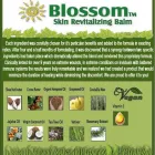 Business 1 image SERF TO SURF Beauty & Personal Care Services in Vancouver BC