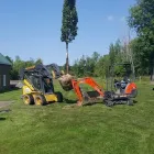 Entreprises 7 image SERVICE D'ARBRE JEAN-NICOLAS MARTEL Tree Work & Forestry Services dans Saint-hubert QC