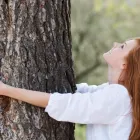 Entreprises 10 image SERVICE D'ARBRE JEAN-NICOLAS MARTEL Tree Work & Forestry Services dans Saint-hubert QC