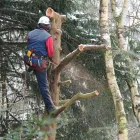 Entreprises 16 image SERVICE D'ARBRE JEAN-NICOLAS MARTEL Tree Work & Forestry Services dans Saint-hubert QC