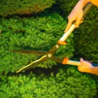 Entreprises 4 image SERVICE D'ARBRE JEAN-NICOLAS MARTEL Tree Work & Forestry Services dans Saint-hubert QC