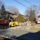 Entreprises 18 image SERVICE D'ARBRE JEAN-NICOLAS MARTEL Tree Work & Forestry Services dans Saint-hubert QC