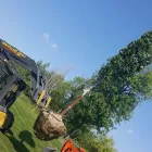 Entreprises 6 image SERVICE D'ARBRE JEAN-NICOLAS MARTEL Tree Work & Forestry Services dans Saint-hubert QC