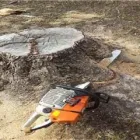 Entreprises 3 image SERVICE D'ARBRE LAURENT MARTEL Tree Work & Forestry Services dans Saint-hubert QC