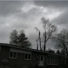 Entreprises 9 image SERVICE D'ARBRES R SAVARD INC Tree Work & Forestry Services dans Saint-hubert QC