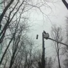 Entreprises 10 image SERVICE D'ARBRES R SAVARD INC Tree Work & Forestry Services dans Saint-hubert QC