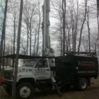 Entreprises 2 image SERVICE D'ARBRES R SAVARD INC Tree Work & Forestry Services dans Saint-hubert QC