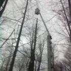 Entreprises 3 image SERVICE D'ARBRES R SAVARD INC Tree Work & Forestry Services dans Saint-hubert QC