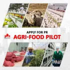 Business 5 image SET CANADA IMMIGRATION SERVICES Legal & Financial Services in Surrey BC