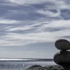 Entreprises 1 image SHANE POKROY THERAPY & COACHING Psychotherapists dans Toronto ON