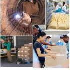 Entreprises 1 image SHARK STAFFING INC Employment & Recruitment Agencies dans Woodbridge ON