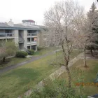 Business 8 image SHELTER CANADIAN PROPERTIES Real Estate & Home Improvement in Winnipeg MB