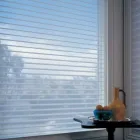 Entreprises 1 image SHUTTER OUTLET Window Frames, Shutters & Fittings dans Toronto ON
