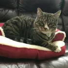 Business 3 image SIDNEY PET CENTRE Shopping in Sidney BC