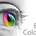 Business 2 image SIGN PRO PLUS Vehicle Graphics & Wraps in Nanaimo BC