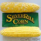 Entreprises 2 image SILVER RILL CORN Fruit & Vegetable Merchants & Markets dans Saanichton BC