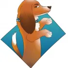 Business 9 image SLYFOX WEB DESIGN AND MARKETING Web Design & Development in London ON