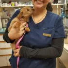 Business 13 image SMALL CREATURES PET CLINIC Veterinarians in Langley BC