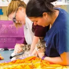 Business 14 image SMALL CREATURES PET CLINIC Veterinarians in Langley BC